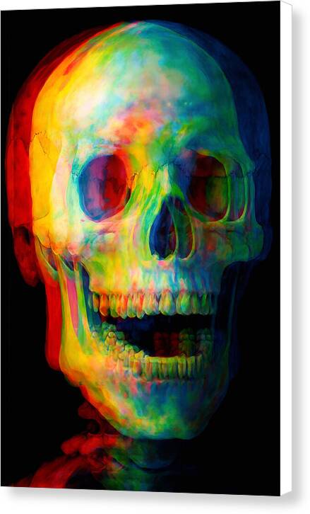 Chromagnon - Canvas Print