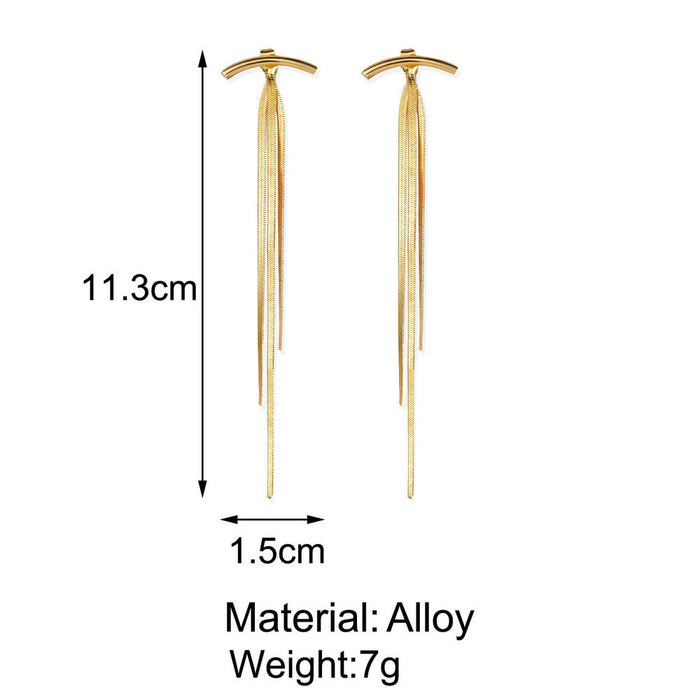 E1293 - Tassel metal long earrings