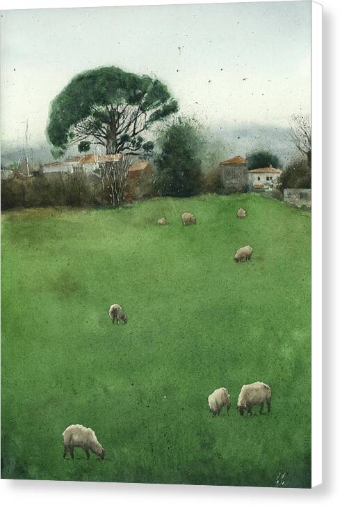 Quiet Day - Canvas Print