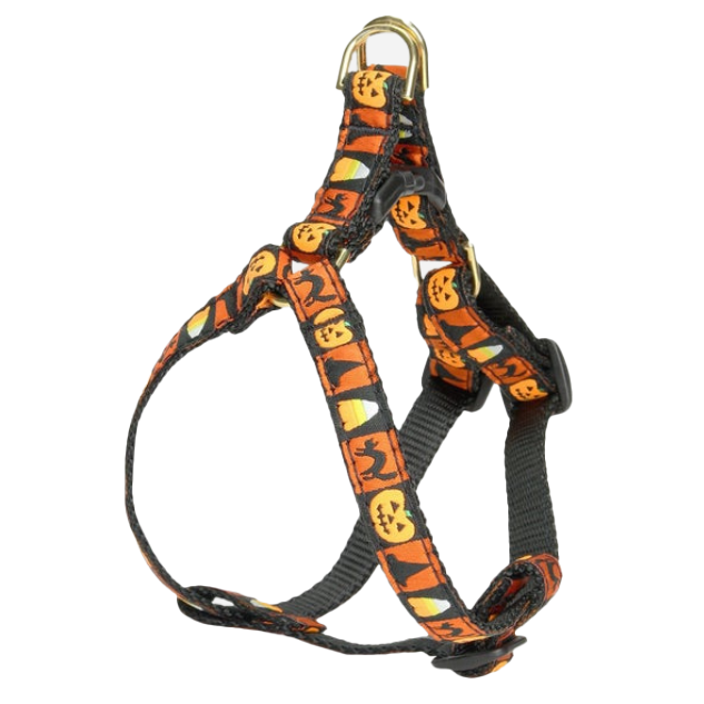 HALLOWEEN-DOG-HARNESS-SMALL-BREED-TEACUP