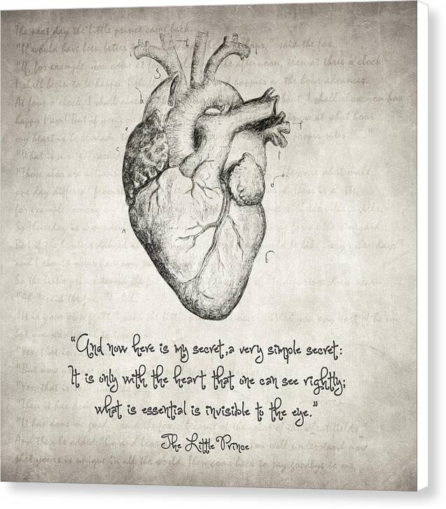The Little Prince Quote - Canvas Print