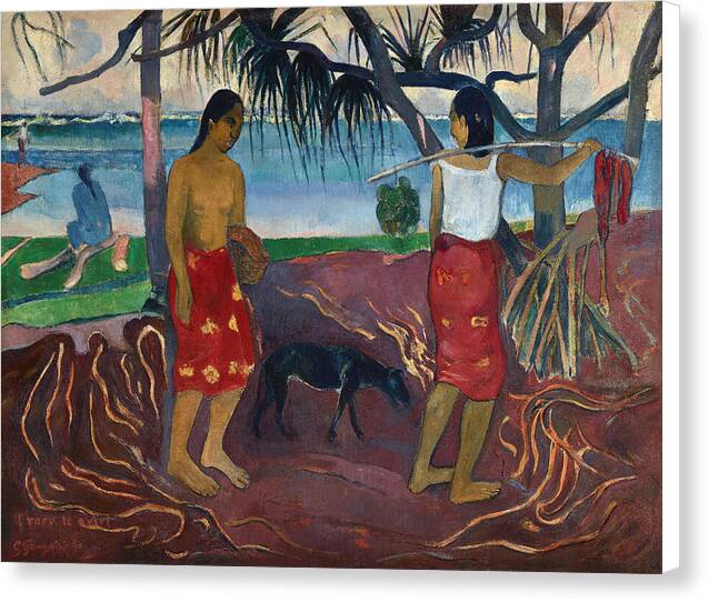 Under the Pandanus - Canvas Print