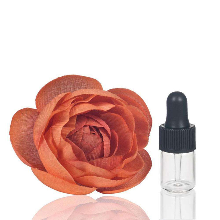 2 ml Clear Glass Vials w/ Black Dropper (Pack of 5) at Your Oil Tools