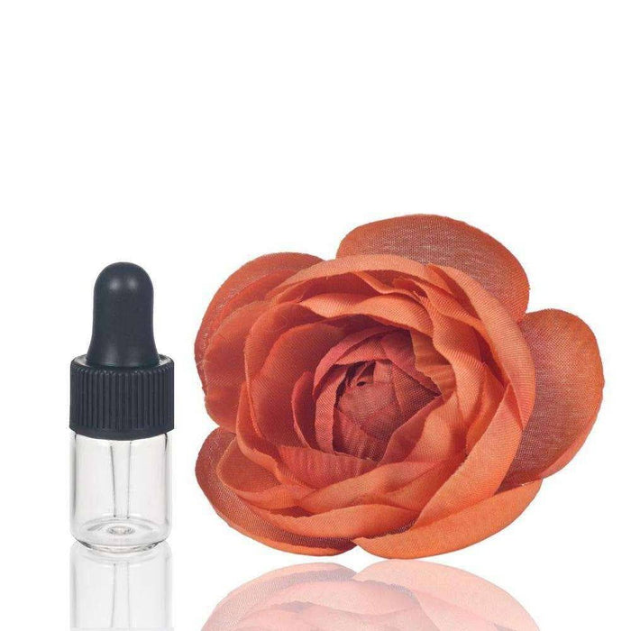 2 ml Clear Glass Vials w/ Black Dropper (Pack of 5) at Your Oil Tools
