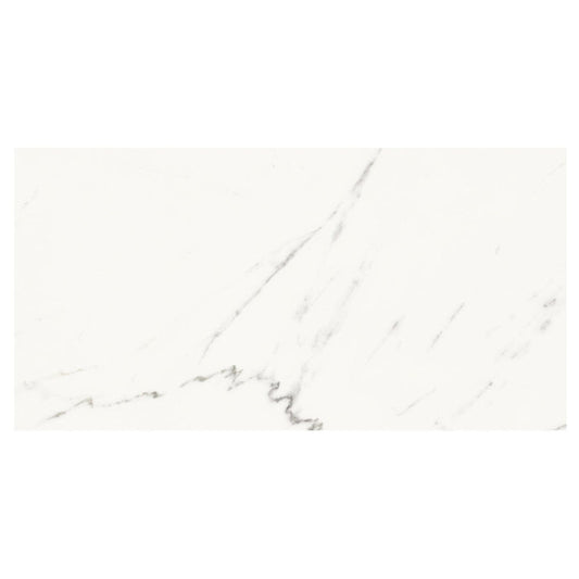 Absolute White 34x66.5 Tile Domino