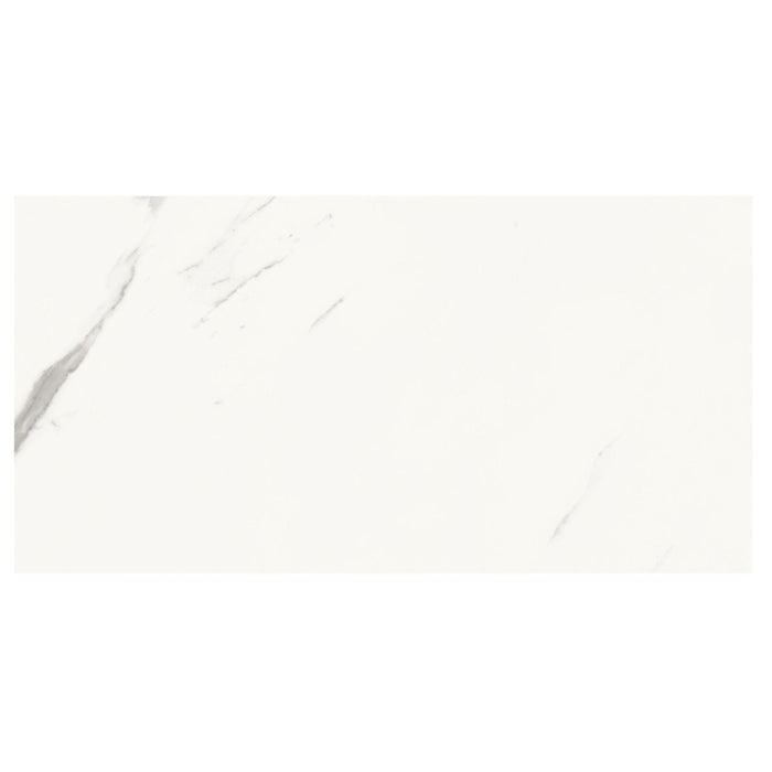 Absolute White 34x66.5 Tile Domino