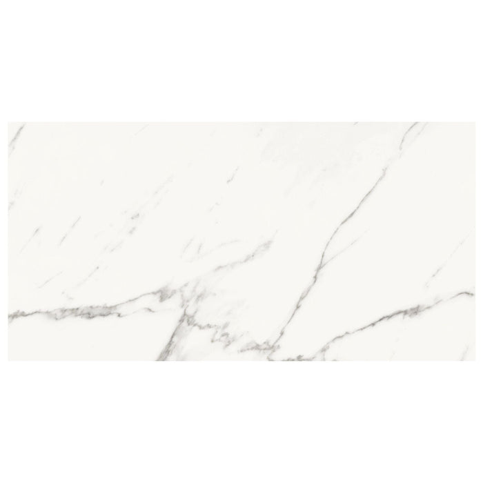 Absolute White 34x66.5 Tile Domino