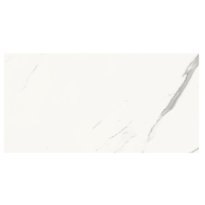 Absolute White 34x66.5 Tile Domino