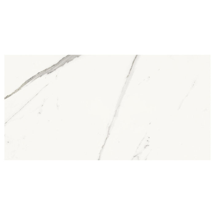 Absolute White 34x66.5 Tile Domino
