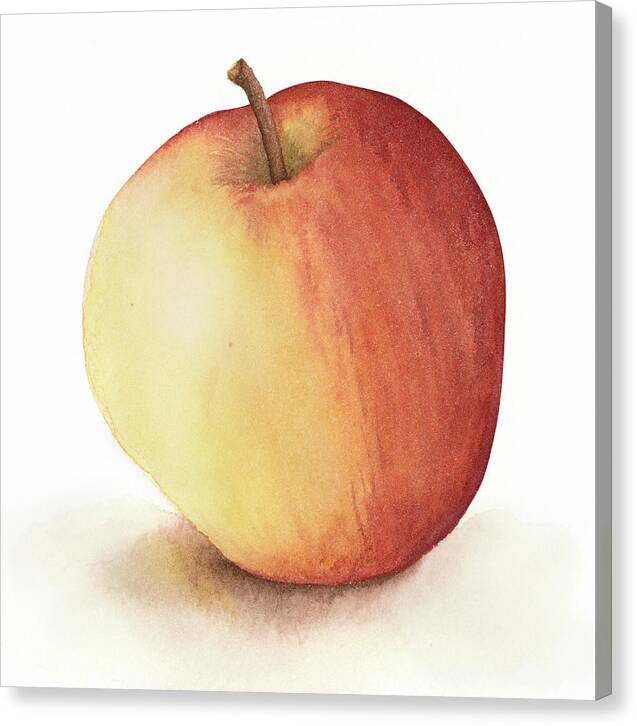 Apple Watercolor - Canvas Print