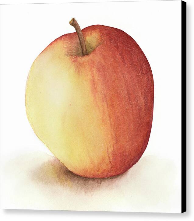 Apple Watercolor - Canvas Print