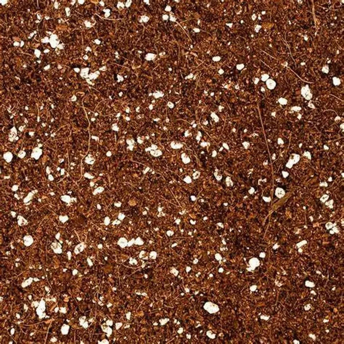 Baja Coco Premium Coco Coir Perlite Mix, 1.5 cu. ft. (Copy)