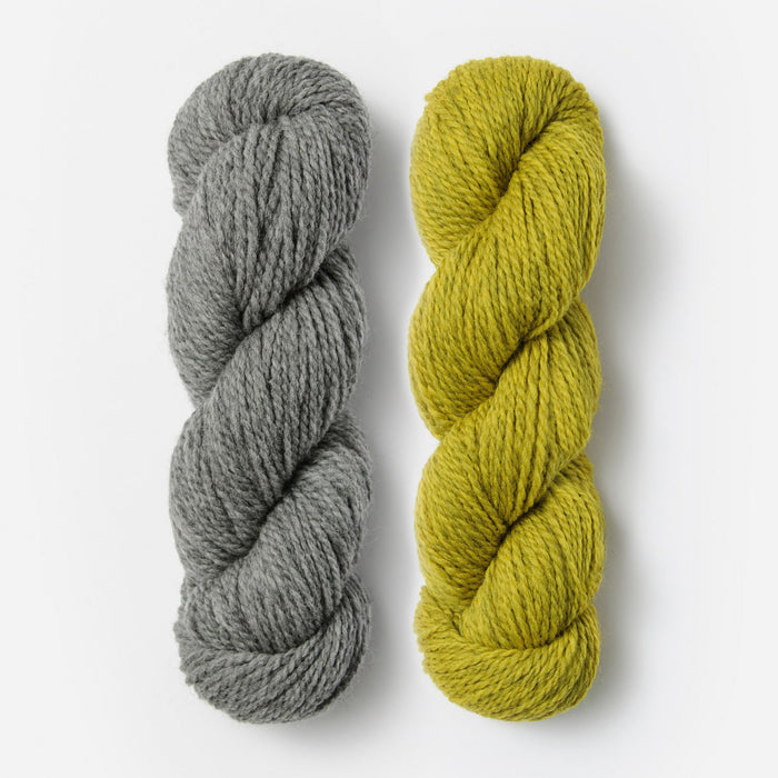 Blue Sky Fibers - Woolstok / XS / S / Storm Cloud & Golden Meadow
