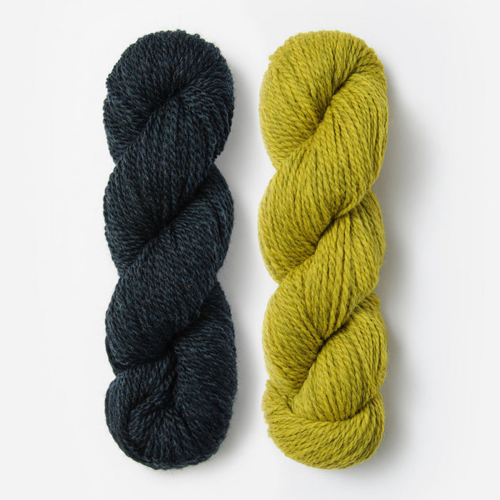 Blue Sky Fibers - Woolstok / XS / S / Midnight Sea & Golden Meadow