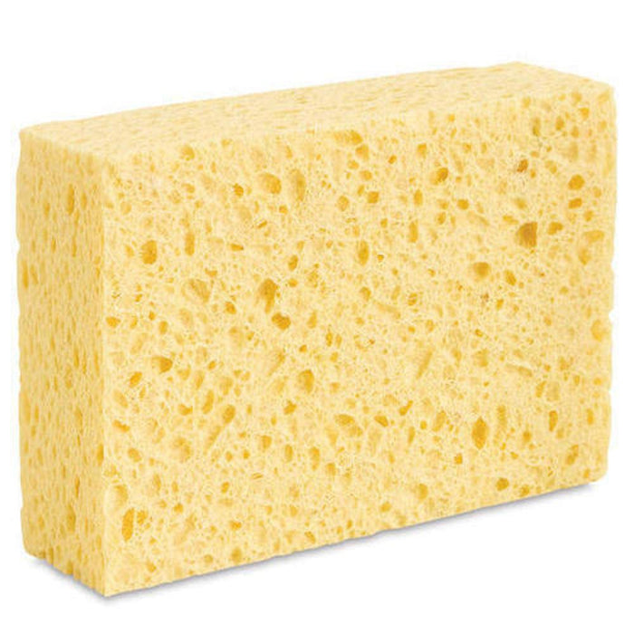 Compostable Household Sponges &Keep