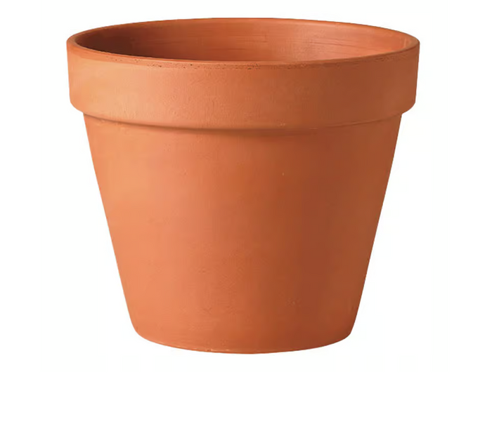 Deroma Clay Standard Planter Terracotta 6 in.