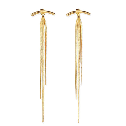 E1293 - Tassel metal long earrings