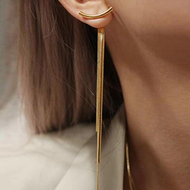 E1293 - Tassel metal long earrings