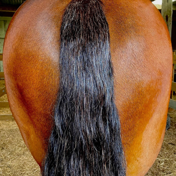 Eco Horse Leave In Conditioner Spray