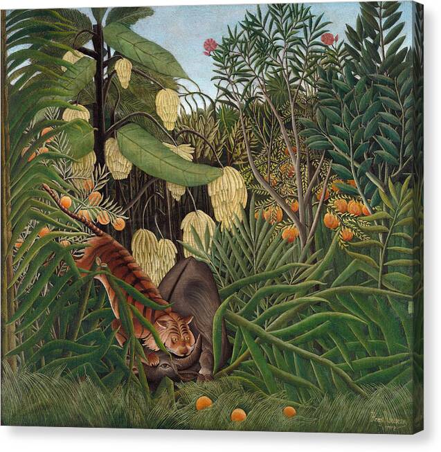 Fight Between a Tiger and a Buffalo - Canvas Print