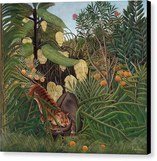 Fight Between a Tiger and a Buffalo - Canvas Print