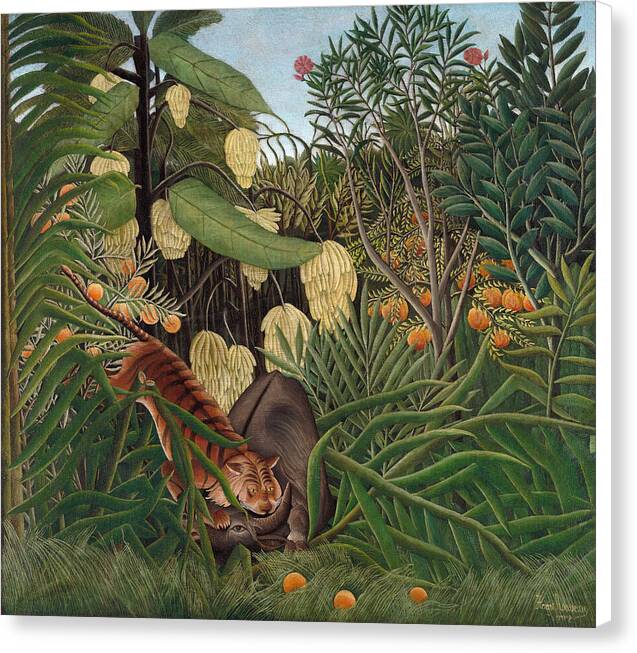 Fight Between a Tiger and a Buffalo - Canvas Print