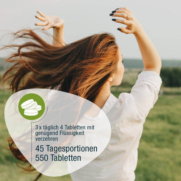 GSE - Naturland Bio Spirulina (Bio) - 550 Tabletten