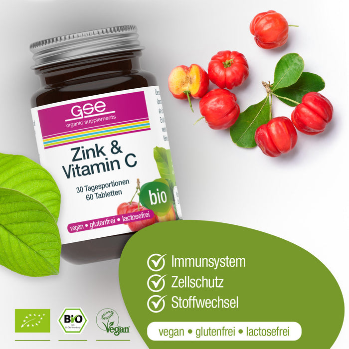 GSE - Zink + Vitamin C (Bio)