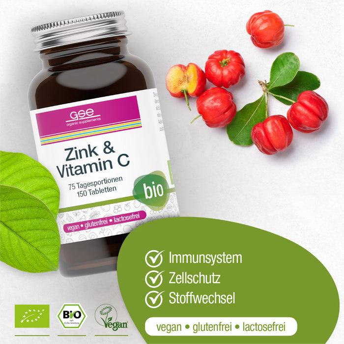GSE - Zink + Vitamin C (Bio)