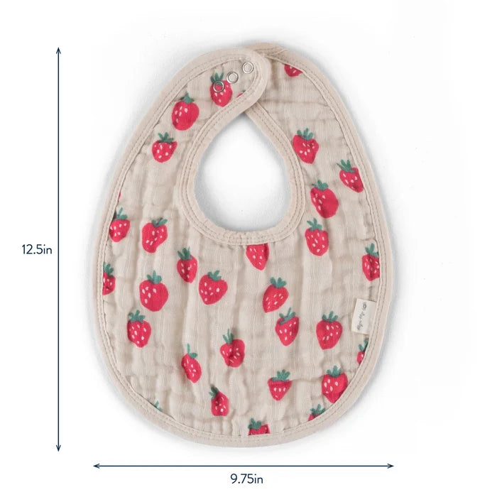 Itzy Ritzy Itzy Bibs - Strawberries & Cream