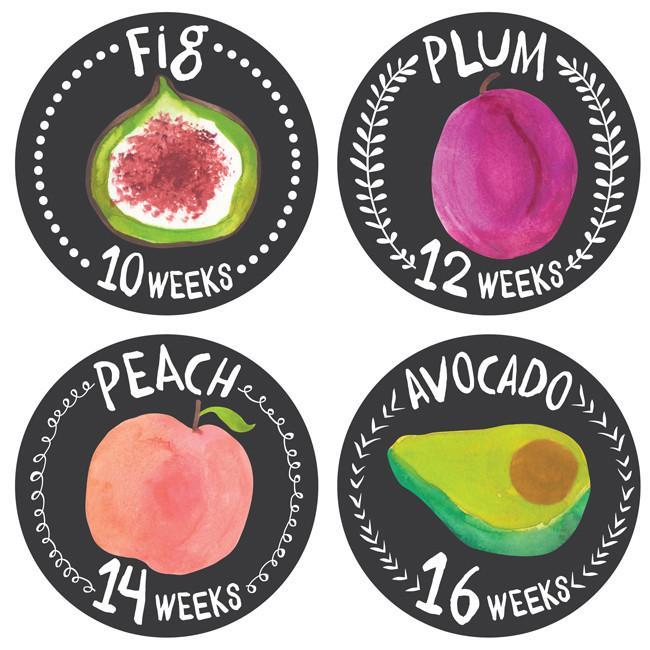 Lucy Darling Growing Garden Belly Stickers