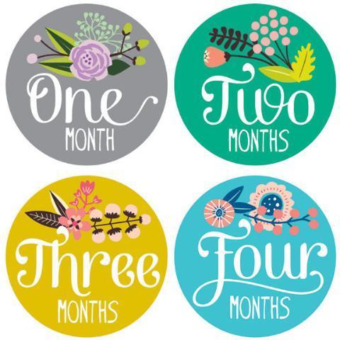 Lucy Darling Little Artist Monthly Baby Stickers