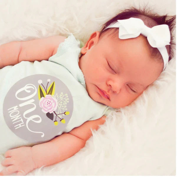 Lucy Darling Little Artist Monthly Baby Stickers