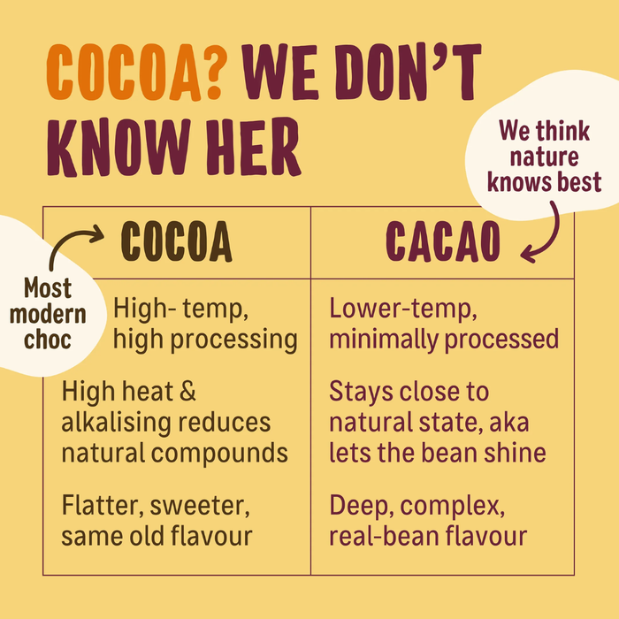 Ombar 60% Cacao Smooth Dark Chocolate 35g