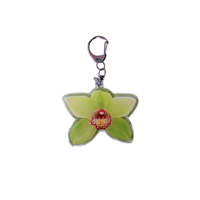 Picto-Charm Keychain
