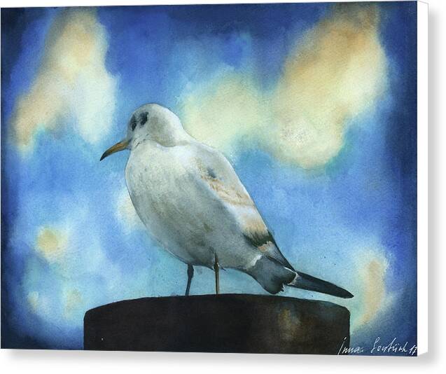 Seagull - Canvas Print