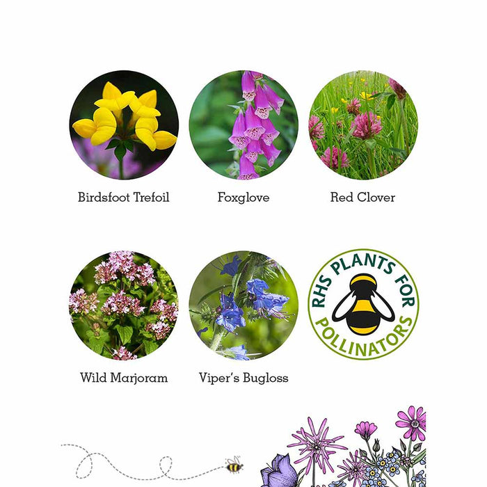 Seedball Wildflower Grab Bag - Bee Mix &Keep
