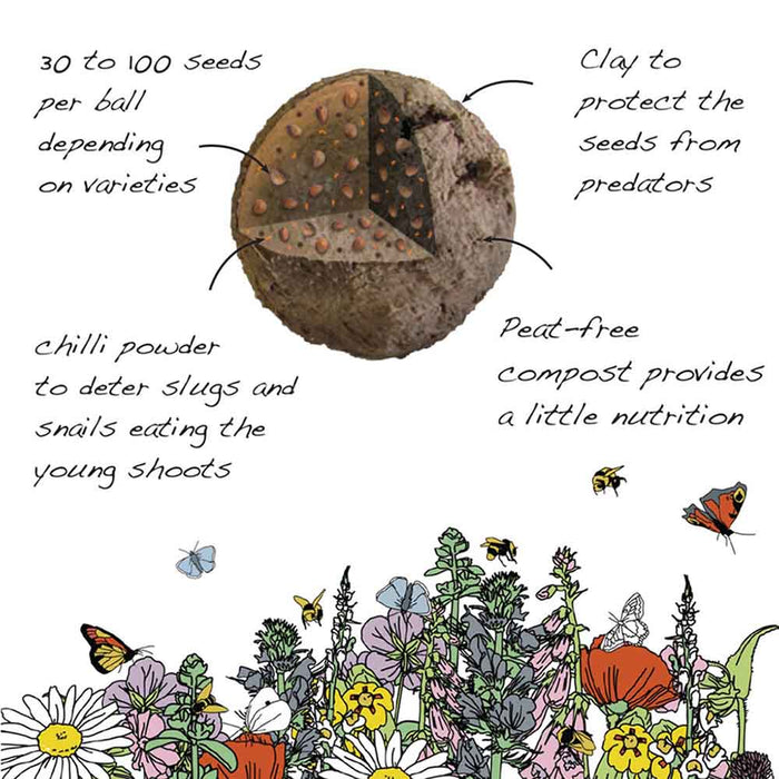 Seedball Wildflower Grab Bag - Bee Mix &Keep