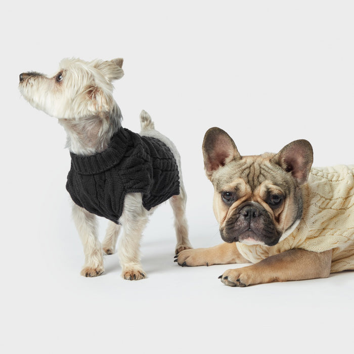 shinola-knit-dog-sweater-black
