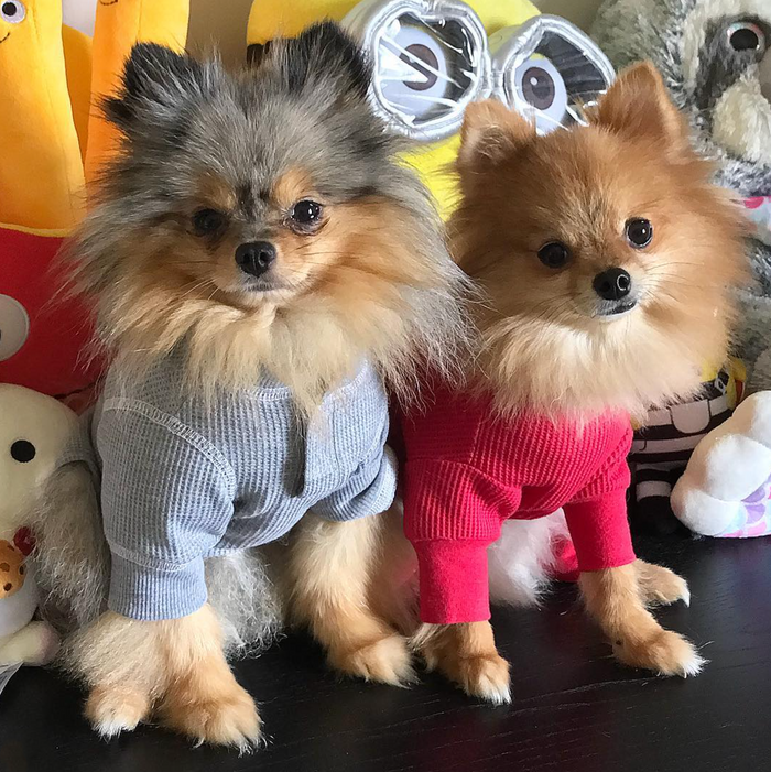 SWEETHEART-DOG-PAJAMAS-GRAY-PINK