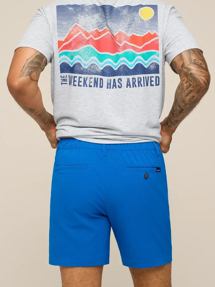 The Blue Ribbons 6" (Breezetech Everywear Performance Short) - Image 2 - Chubbies Shorts