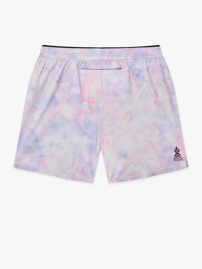 The Elements 5.5" (Ultimate Training Short with Hidden Liner)- Pink - Image 2 - Chubbies Shorts