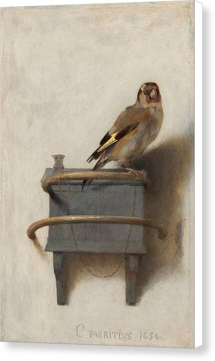 The Goldfinch - Canvas Print