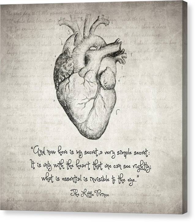 The Little Prince Quote - Canvas Print