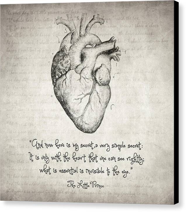The Little Prince Quote - Canvas Print