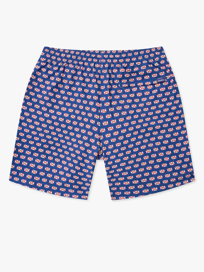 The Sunshine States 7" (Classic Lined Swim Trunk) - Image 7 - Chubbies Shorts