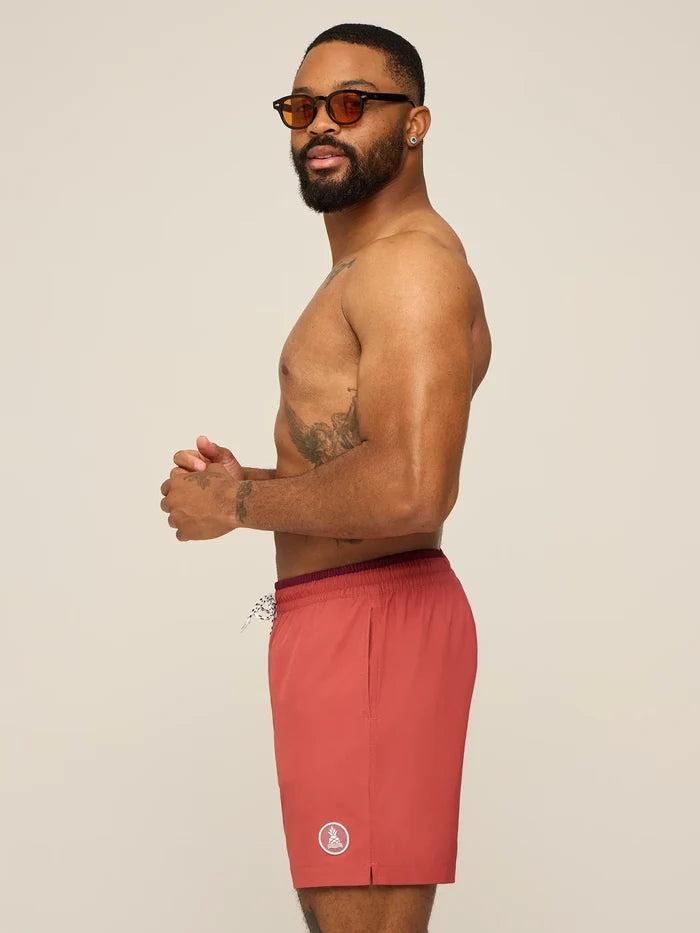 The Terracottas 5.5" (Classic Swim Trunk w/ SP WB) - Image 3 - Chubbies Shorts
