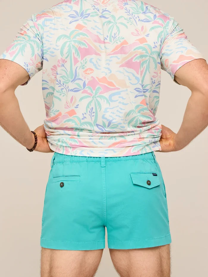 The Tide Pools 2" (Originals) - Image 2 - Chubbies Shorts