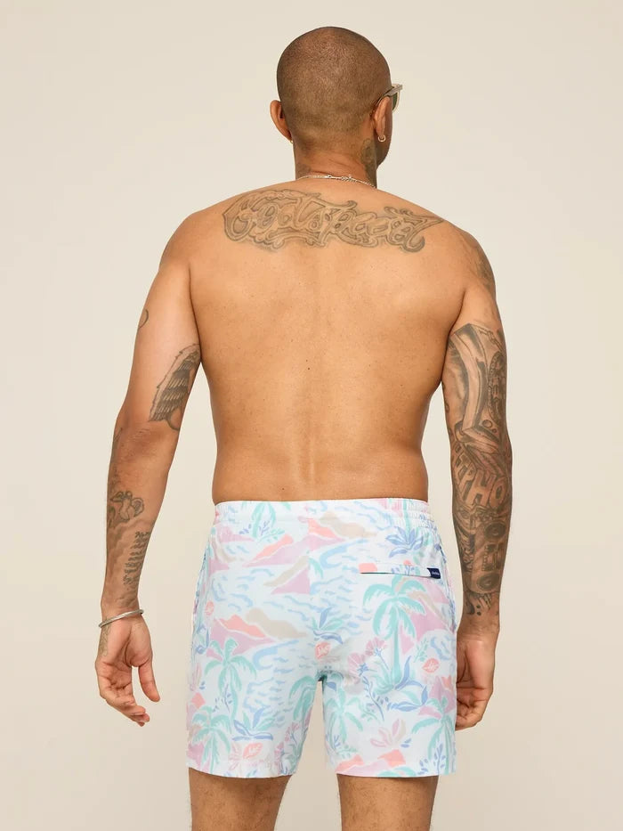 The Washed Ashores 5.5" (Classic Lined Swim Trunk) - Image 2 - Chubbies Shorts