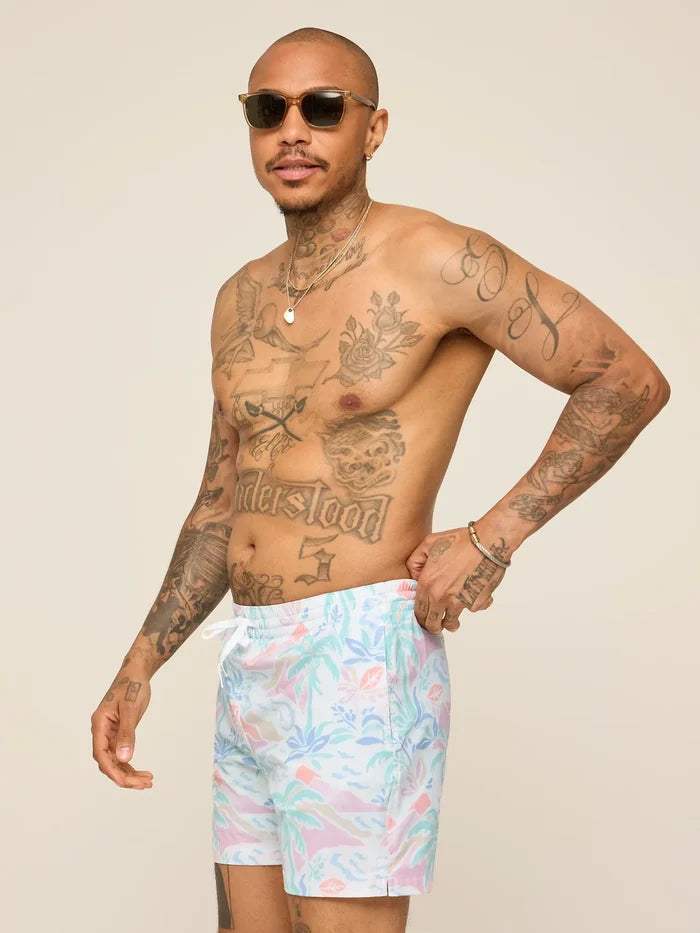 The Washed Ashores 5.5" (Classic Lined Swim Trunk) - Image 4 - Chubbies Shorts